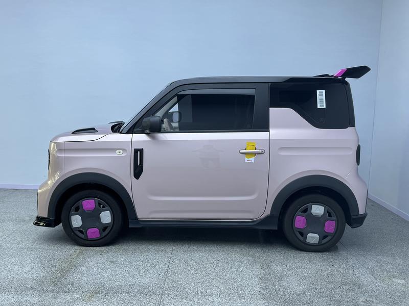 Geely Galaxy Panda Mini, 2025 — фото 4 из 12