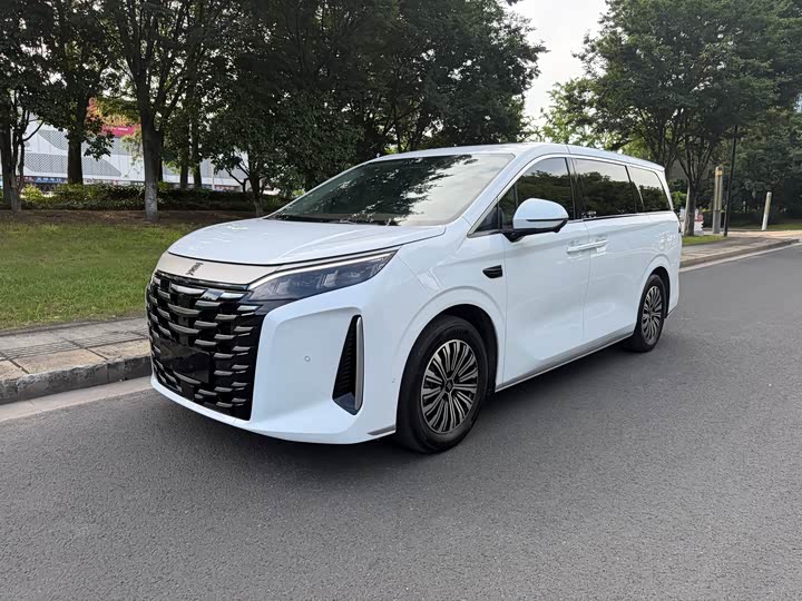 BYD Xia, 2025 — купить в Брянске под ключ