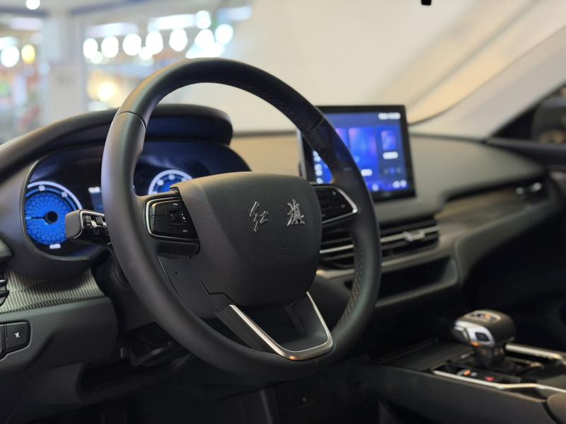 Hongqi E-QM5, 2024 — фото 10 из 12