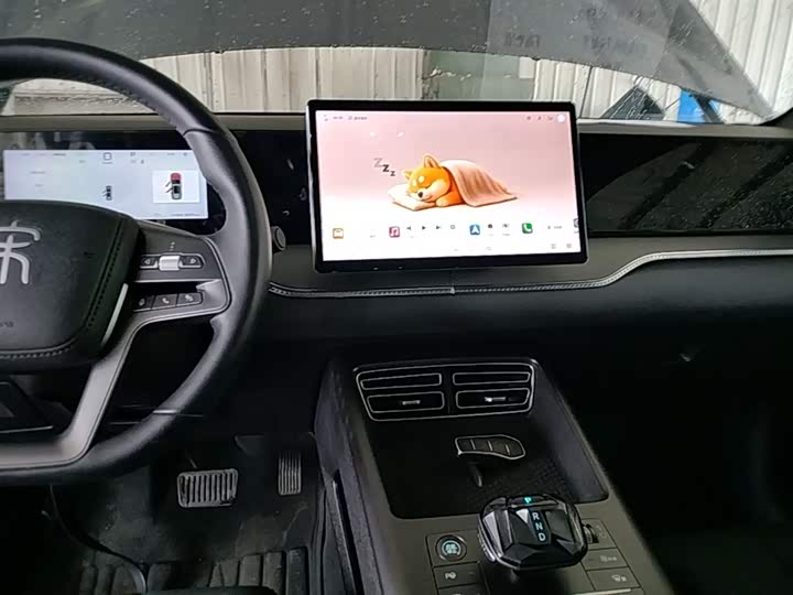 BYD Song Pro Hybrid, 2025 — фото 9 из 9