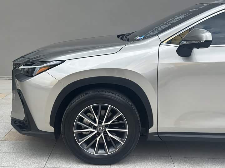 Lexus NX, 2024 — фото 5 из 9