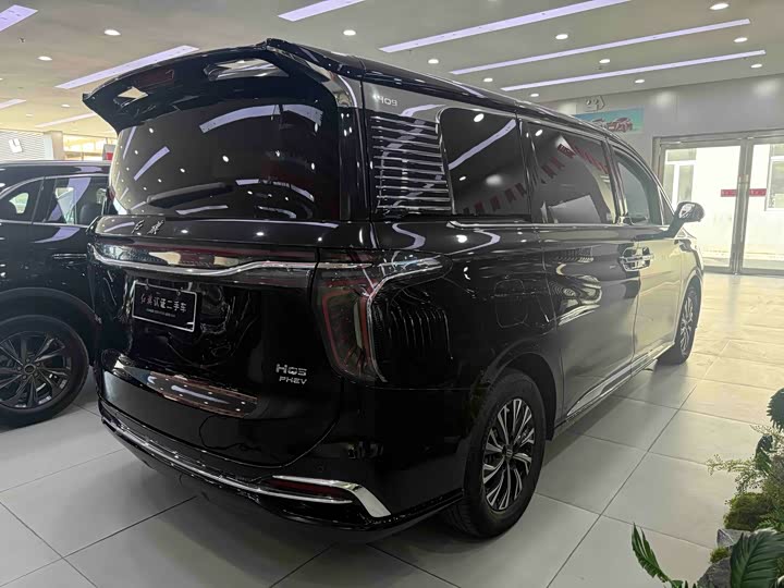 Hongqi HQ9 Hybrid, 2024 — фото 4 из 9