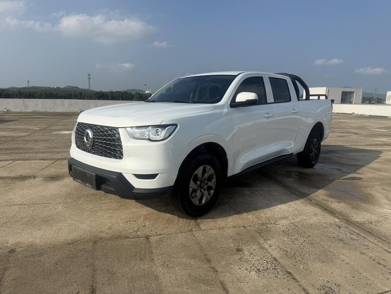 Great Wall Pao, 2022 — купить в Рязани под ключ