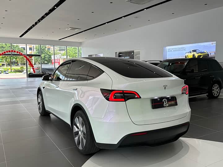 Tesla Model Y, 2023 — фото 3 из 5