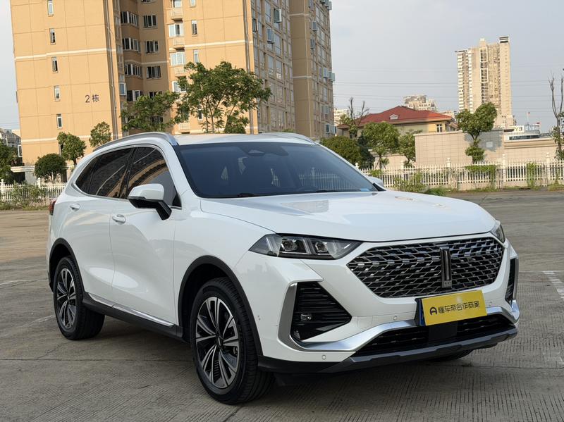 Wey Latte DHT Hybrid, 2022 — фото 3 из 12