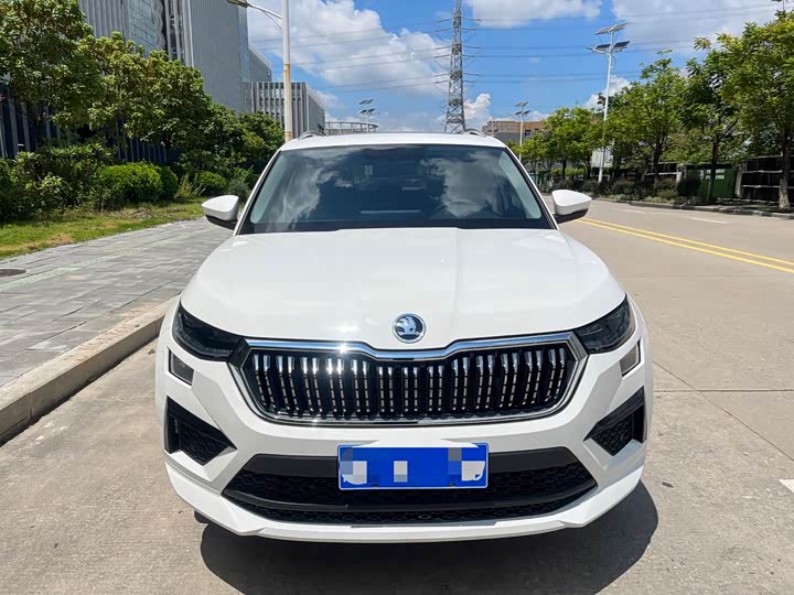 Skoda Kodiaq, 2024 — фото 2 из 9