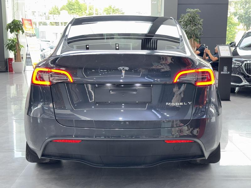 Tesla Model Y, 2024 — фото 4 из 8