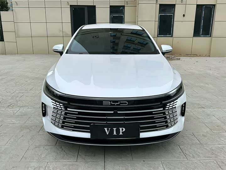 BYD Destroyer 05, 2024 — фото 2 из 9