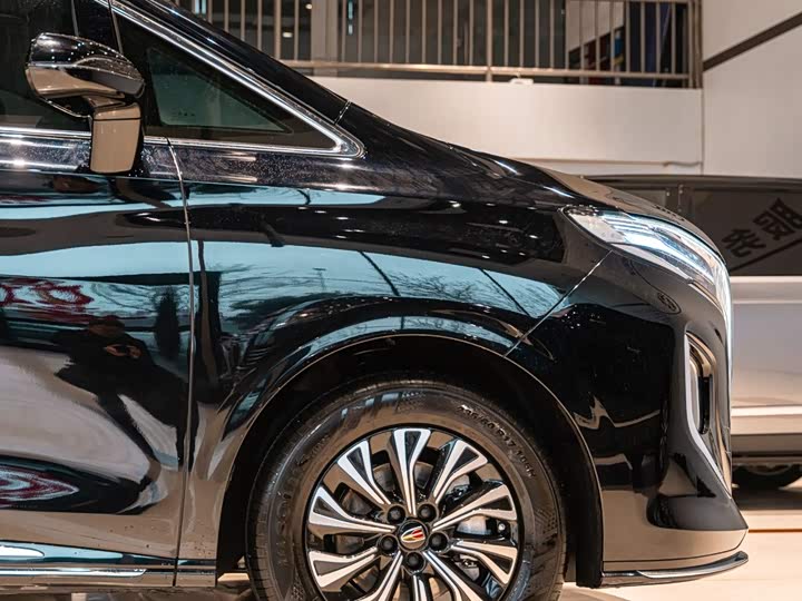 Hongqi HQ9 Hybrid, 2025 — фото 5 из 9