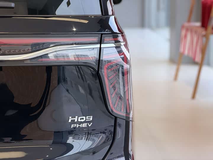 Hongqi HQ9 Hybrid, 2024 — фото 4 из 9