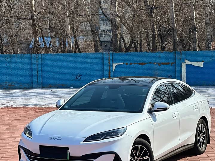 BYD Seal 06 Hybrid/EV, 2024 — фото 9 из 9