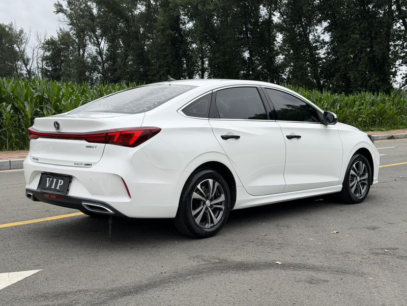 Changan Eado Plus, 2023 — фото 6 из 10