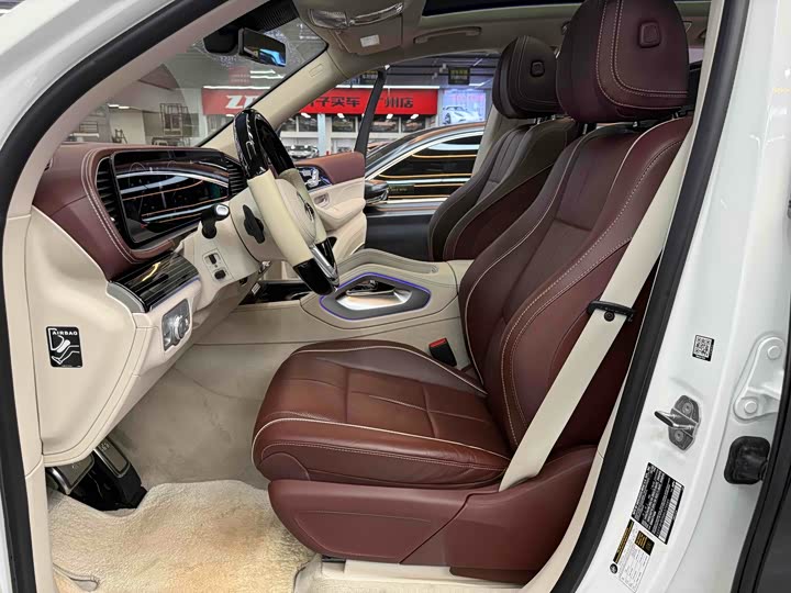 Mercedes-Benz Maybach GLS, 2022 — фото 6 из 9