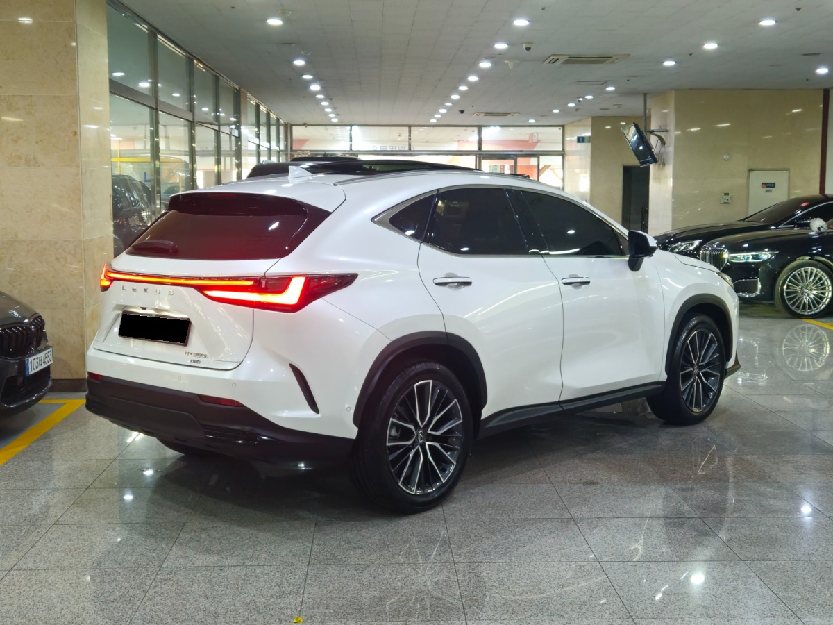 Lexus NX, 2023 — фото 4 из 12