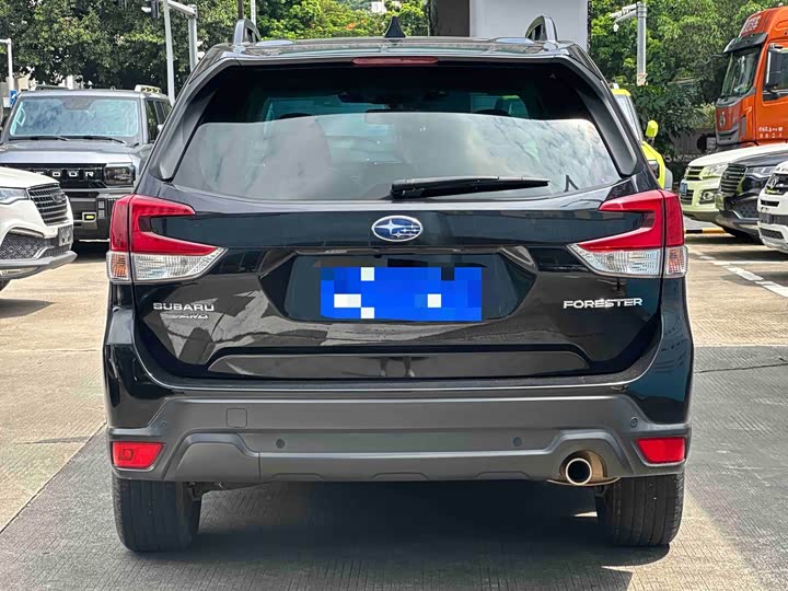 Subaru Forester, 2022 — фото 6 из 7