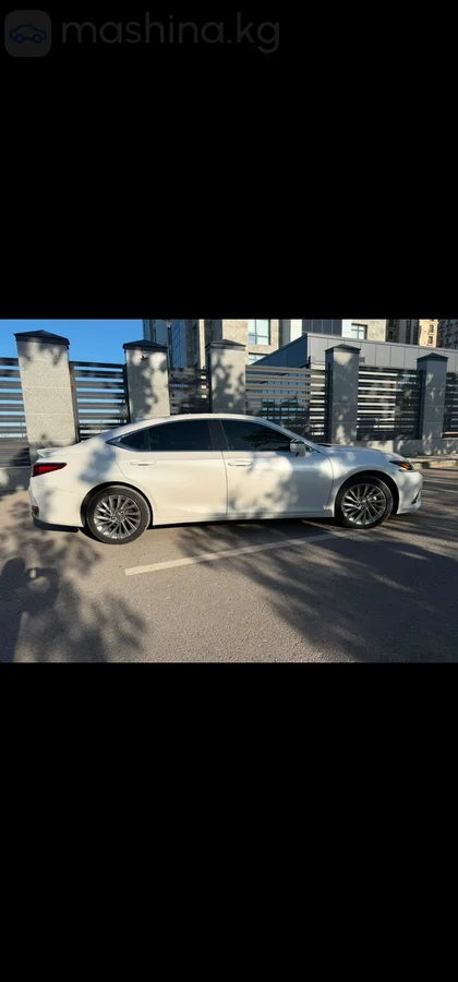 Lexus ES, 2023 — фото 3 из 11