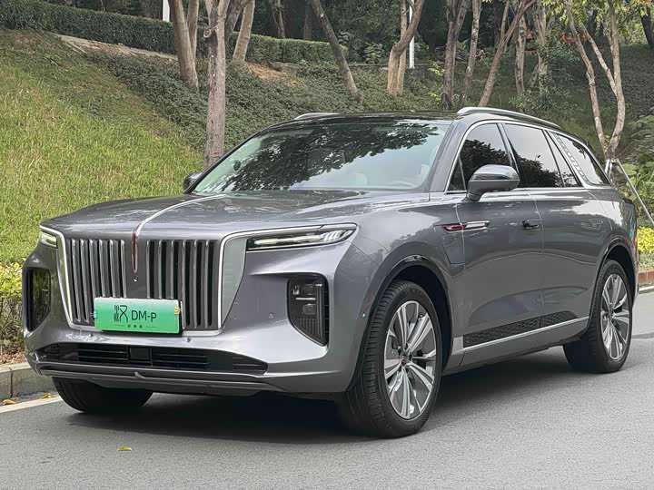 Hongqi E-HS9, 2022 — купить в Курске под ключ