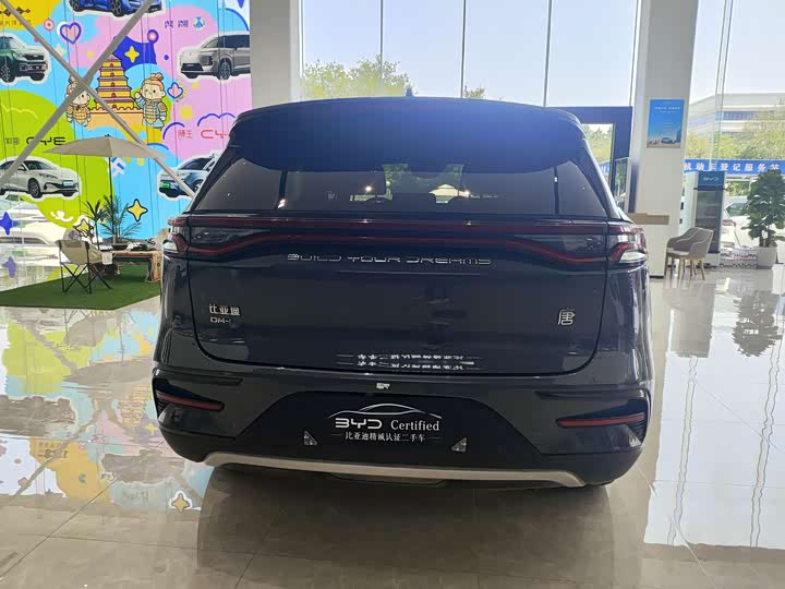 BYD Tang Hybrid/EV, 2021 — фото 6 из 9