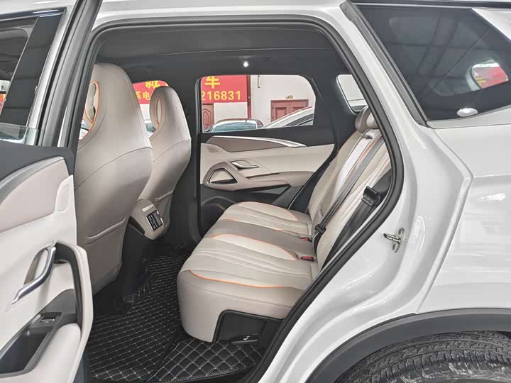 BYD Song Pro Hybrid, 2024 — фото 8 из 9