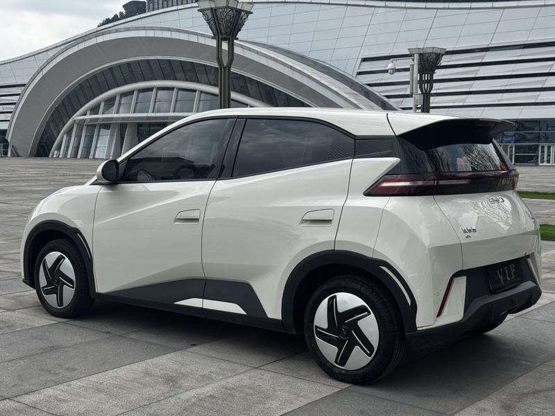 BYD Seagull, 2024 — фото 4 из 10