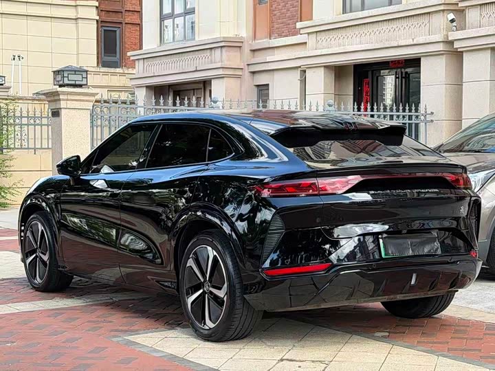 BYD Song L, 2025 — фото 9 из 9