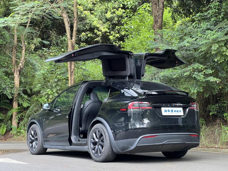 Tesla Model X, 2023 — фото 4 из 11