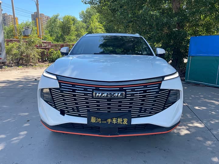 Haval F7 (Monster), 2023 — фото 2 из 9