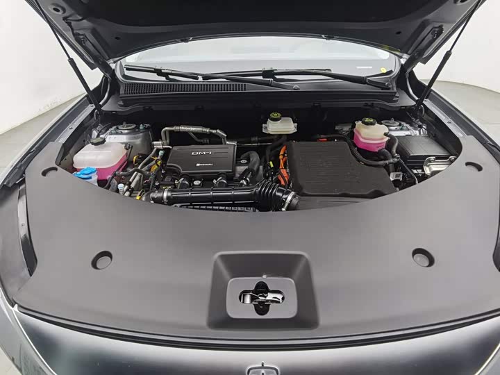 BYD Song Pro Hybrid, 2025 — фото 6 из 9