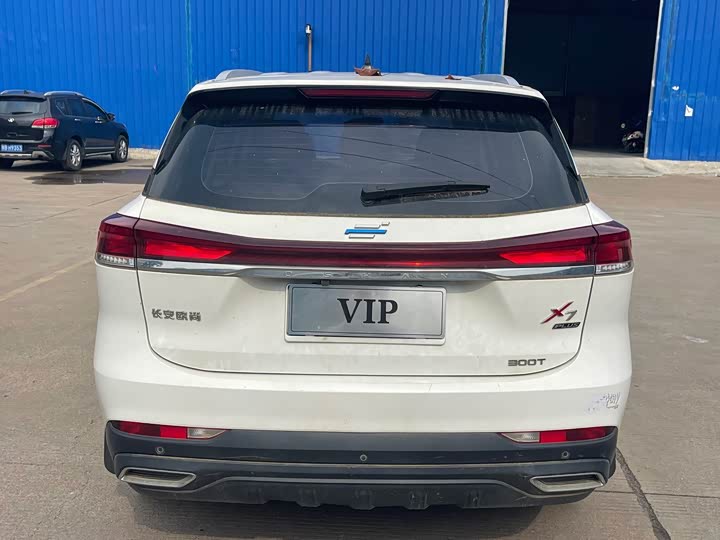 Changan Oshan X7 Plus, 2021 — фото 4 из 9