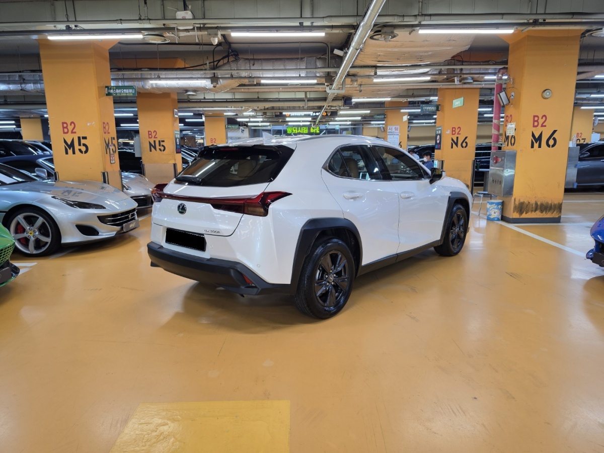 Lexus UX, 2025 — фото 2 из 12