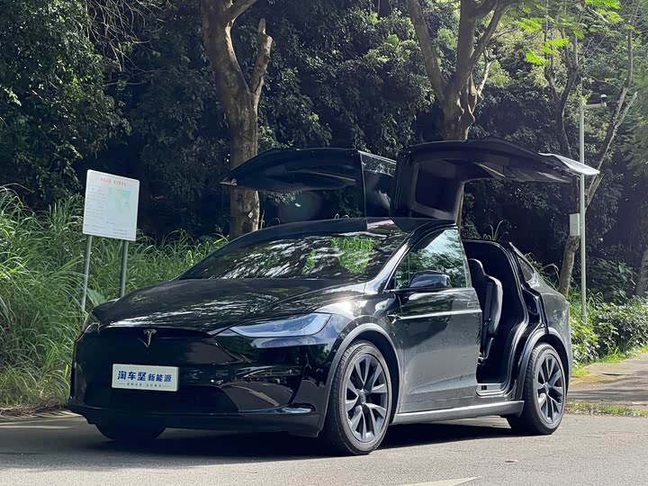 Tesla Model X, 2023 — купить в Владимире под ключ