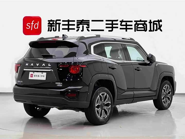 Haval H-Dog Hybrid, 2023 — фото 5 из 9