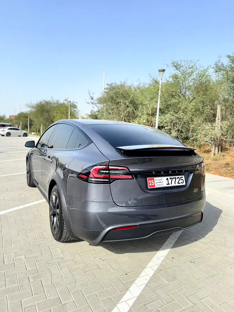 Tesla Model X, 2023 — фото 4 из 10