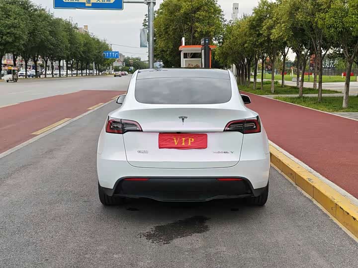 Tesla Model Y, 2024 — фото 5 из 9