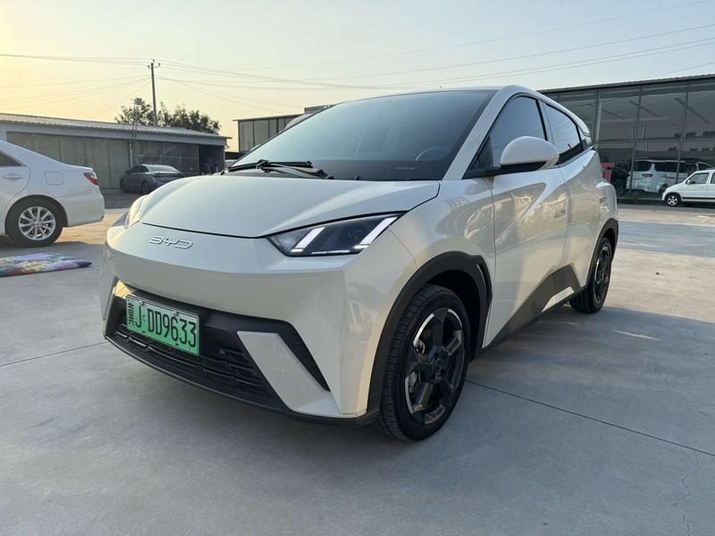 BYD Seagull, 2024 — купить в Белгороде под ключ