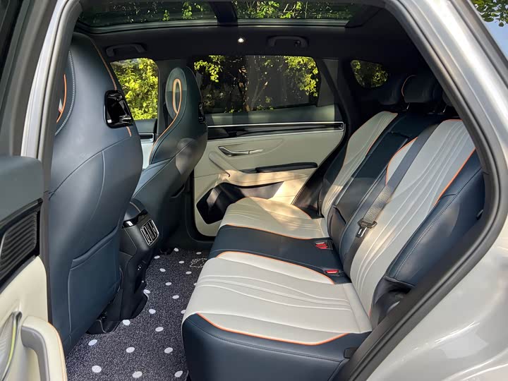 BYD Song Plus Hybrid/EV, 2024 — фото 8 из 9