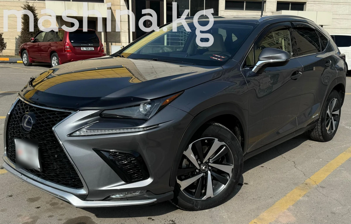 Lexus NX, 2021