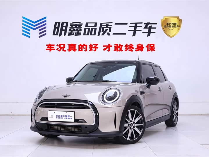 Mini Mini, 2023 — купить в Нижнем Новгороде под ключ