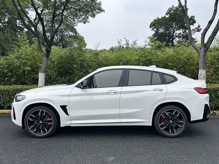 BMW X4, 2025 — фото 7 из 9