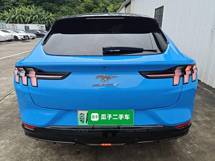Ford Mustang Mach-E, 2022 — фото 4 из 9