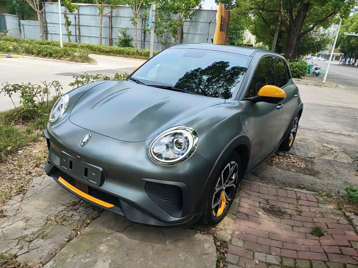 Ora Good Cat GT (03 GT), 2023 — купить в Кирове под ключ