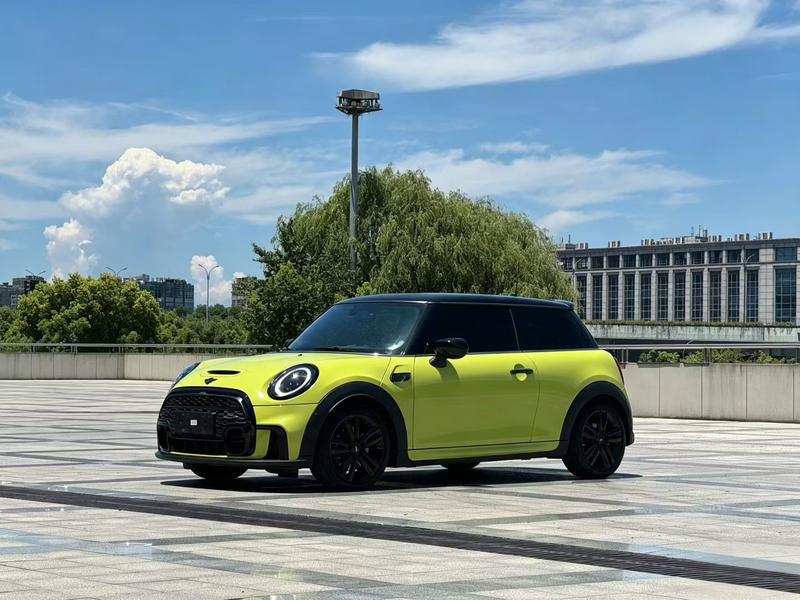 Mini Mini, 2022 — купить в Нижнем Новгороде под ключ