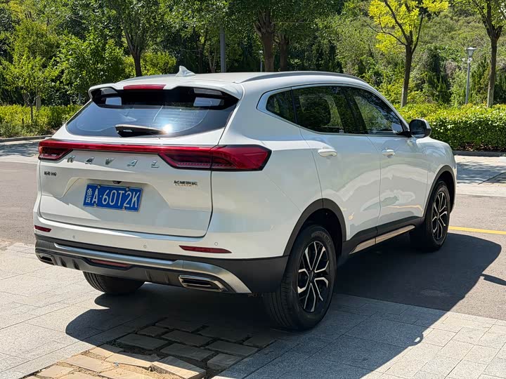 Haval H6, 2022 — фото 6 из 9