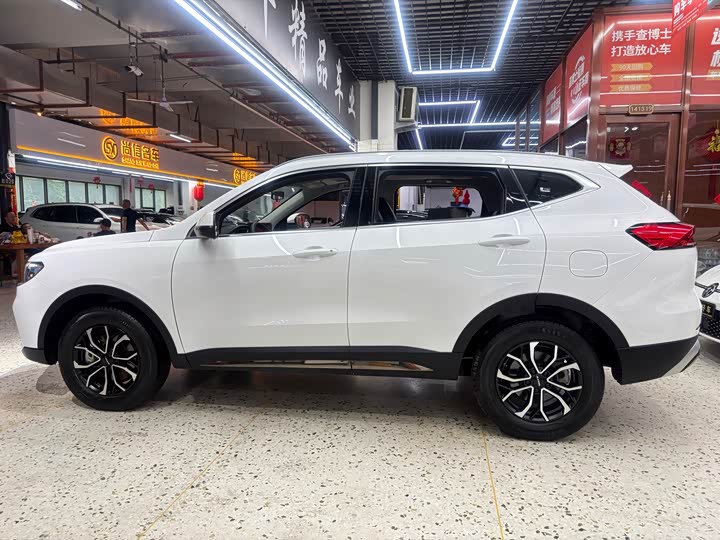 Haval H6, 2021 — фото 6 из 9