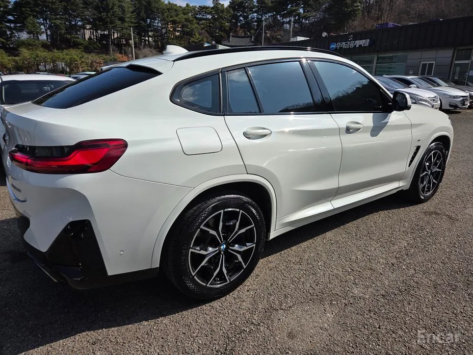 BMW X4, 2023 — фото 6 из 12