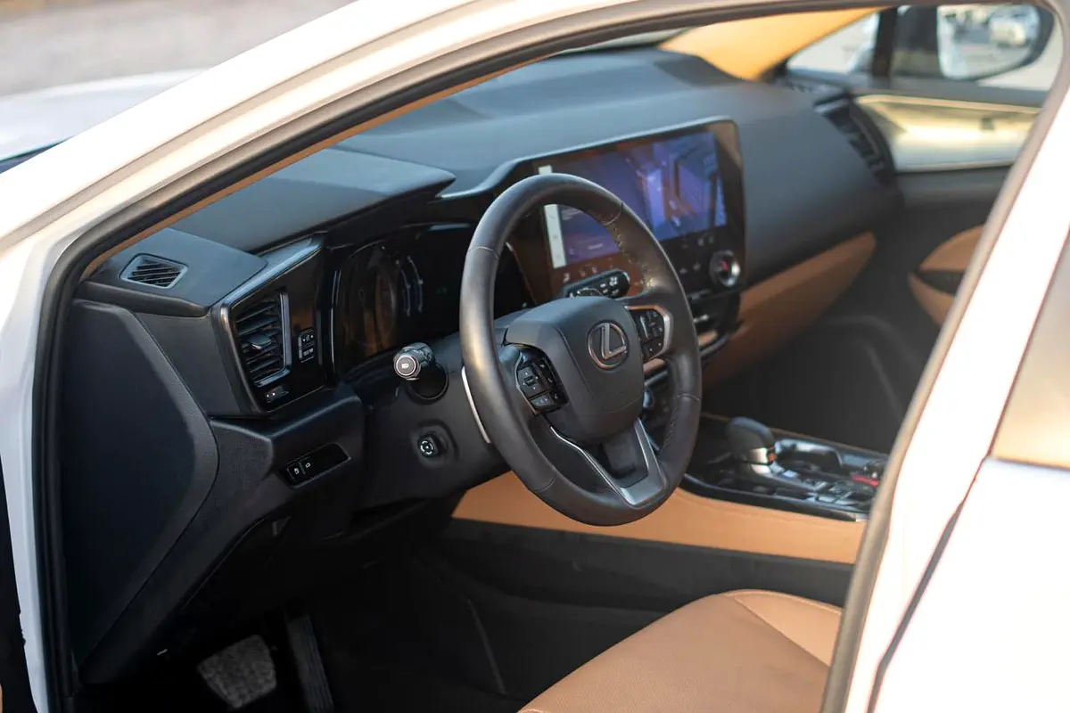 Lexus NX-Series, 2024 — фото 10 из 10