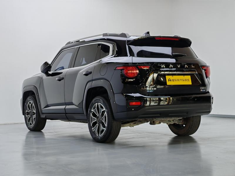 Haval H-Dog Hybrid, 2023 — фото 5 из 12