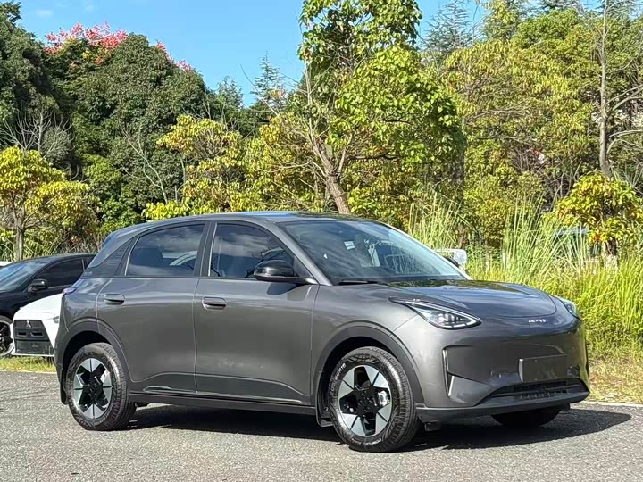 Geely Galaxy Geome, 2025 — фото 3 из 9