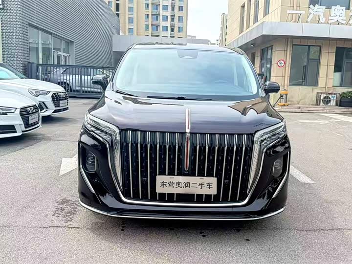 Hongqi HQ9 Hybrid, 2024 — фото 8 из 9