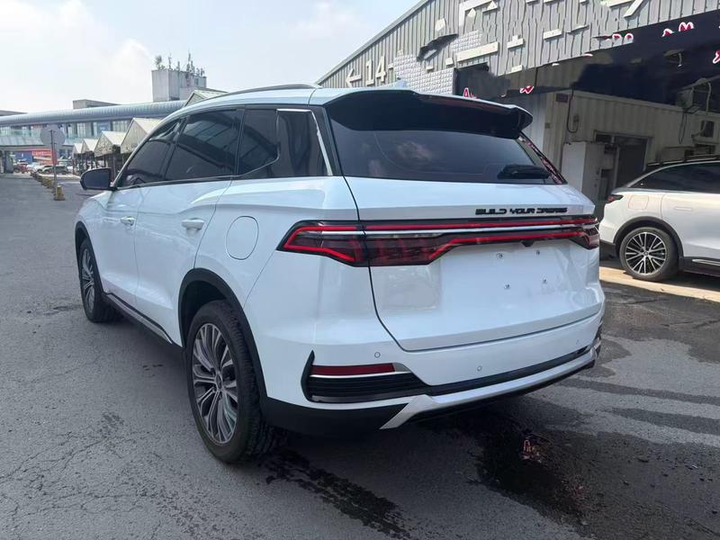 BYD Song Pro Hybrid, 2023 — фото 5 из 12